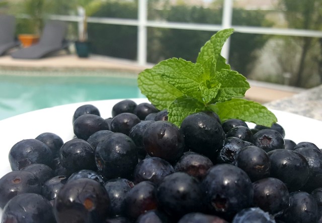 2016-04-16 11.25.43.jpg