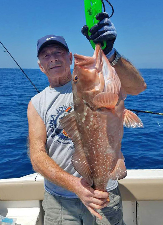 Sarasota, Florida.. Grouper Paradise! | Floridaography……