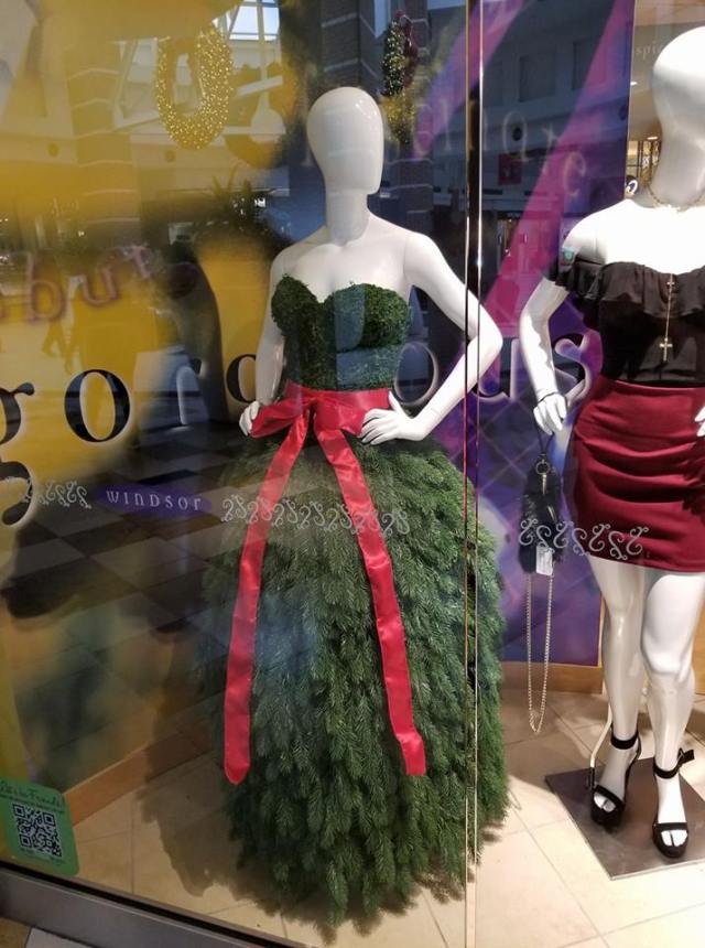 25299553_10156023209951079_3940630718183927920_n